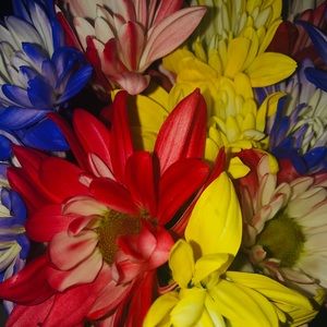 Meet your Posher, Melissa